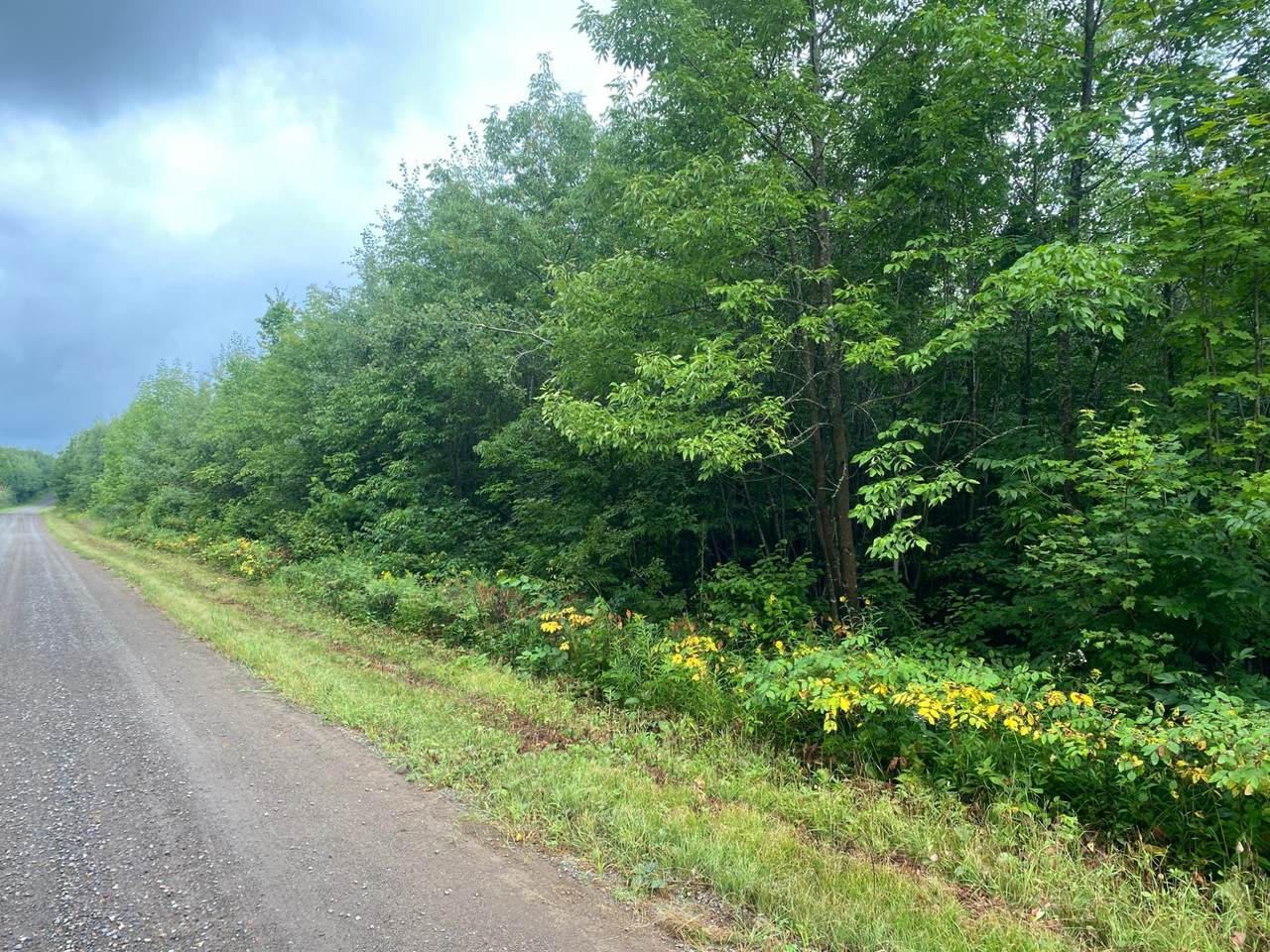 ON Bear Lake Rd - Photo 1