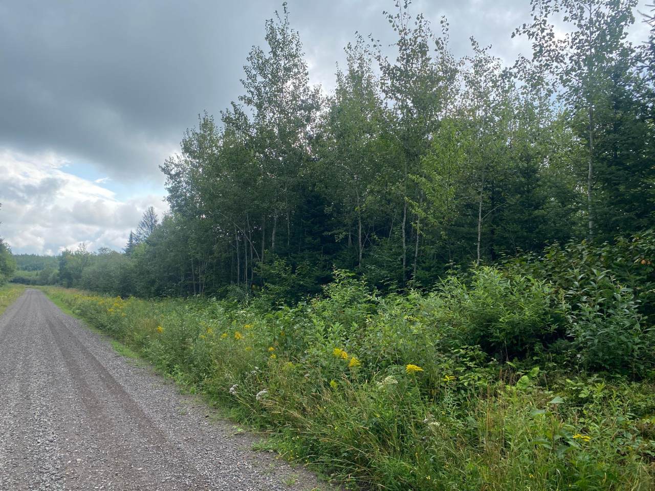 ON Right Of Way Rd - Photo 1