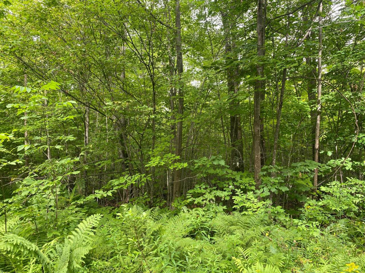 NEAR Cth W - Photo 1