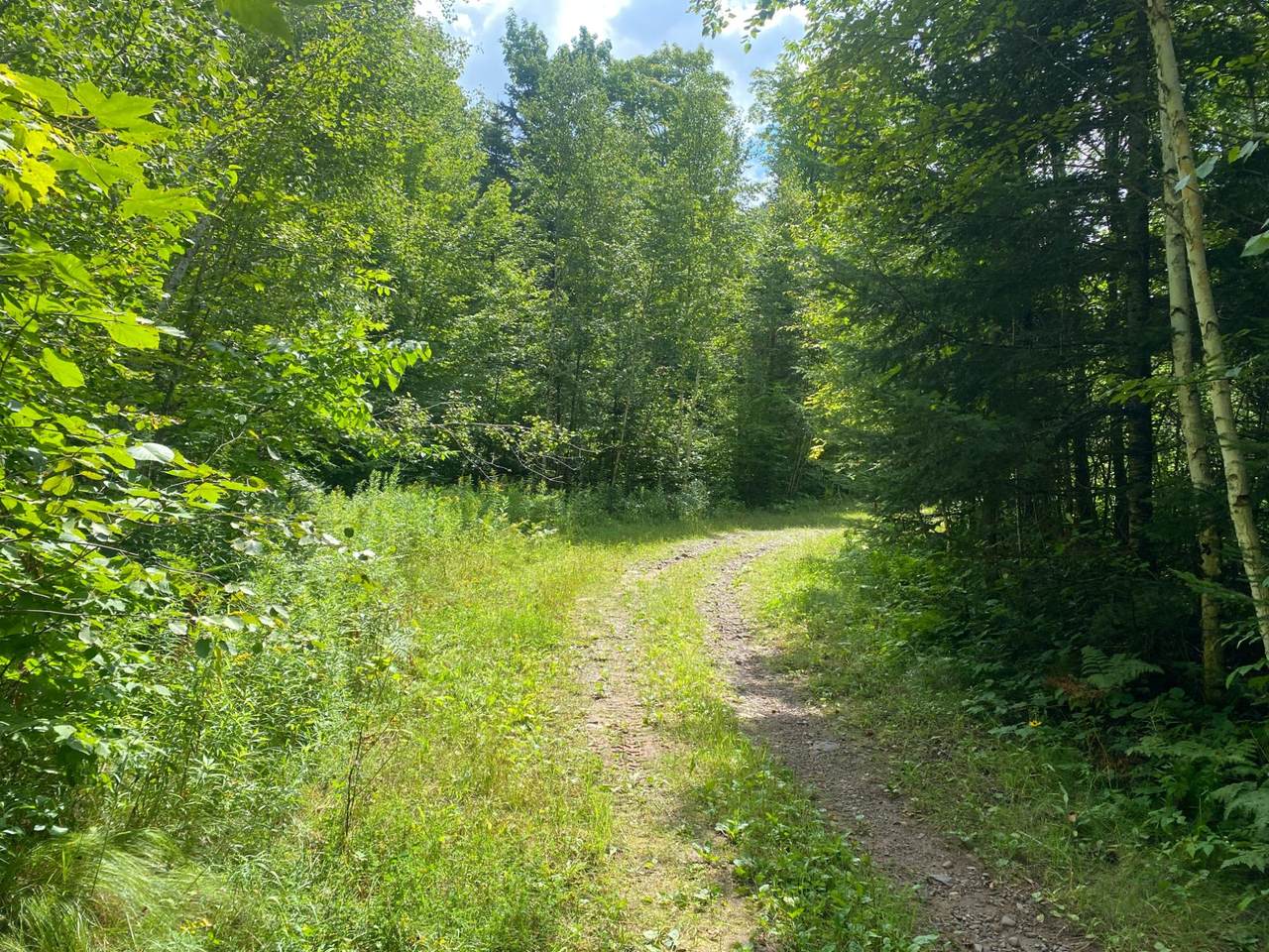 NEAR Warren Rd - Photo 1