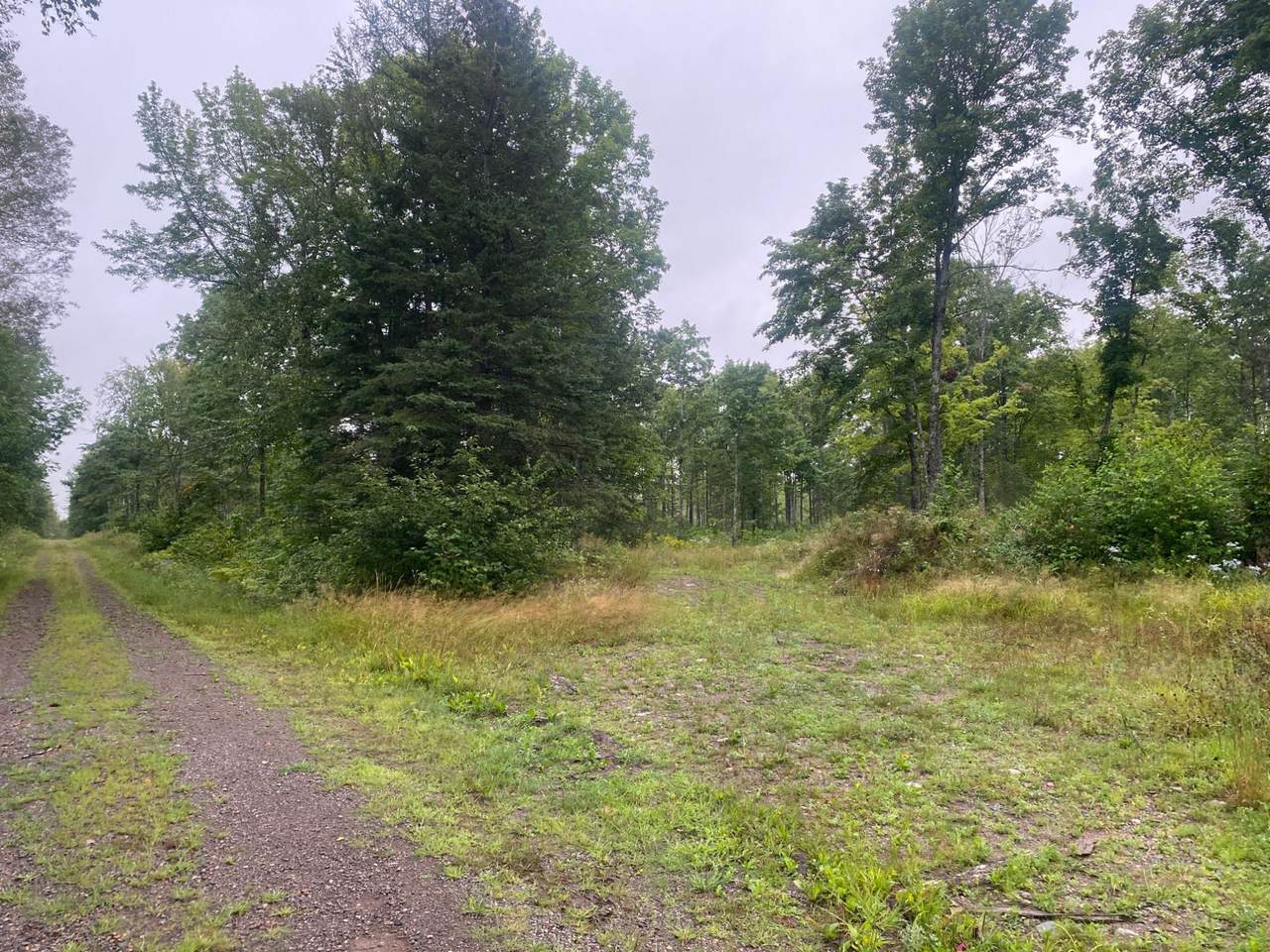 ON Doland Rd - Photo 1