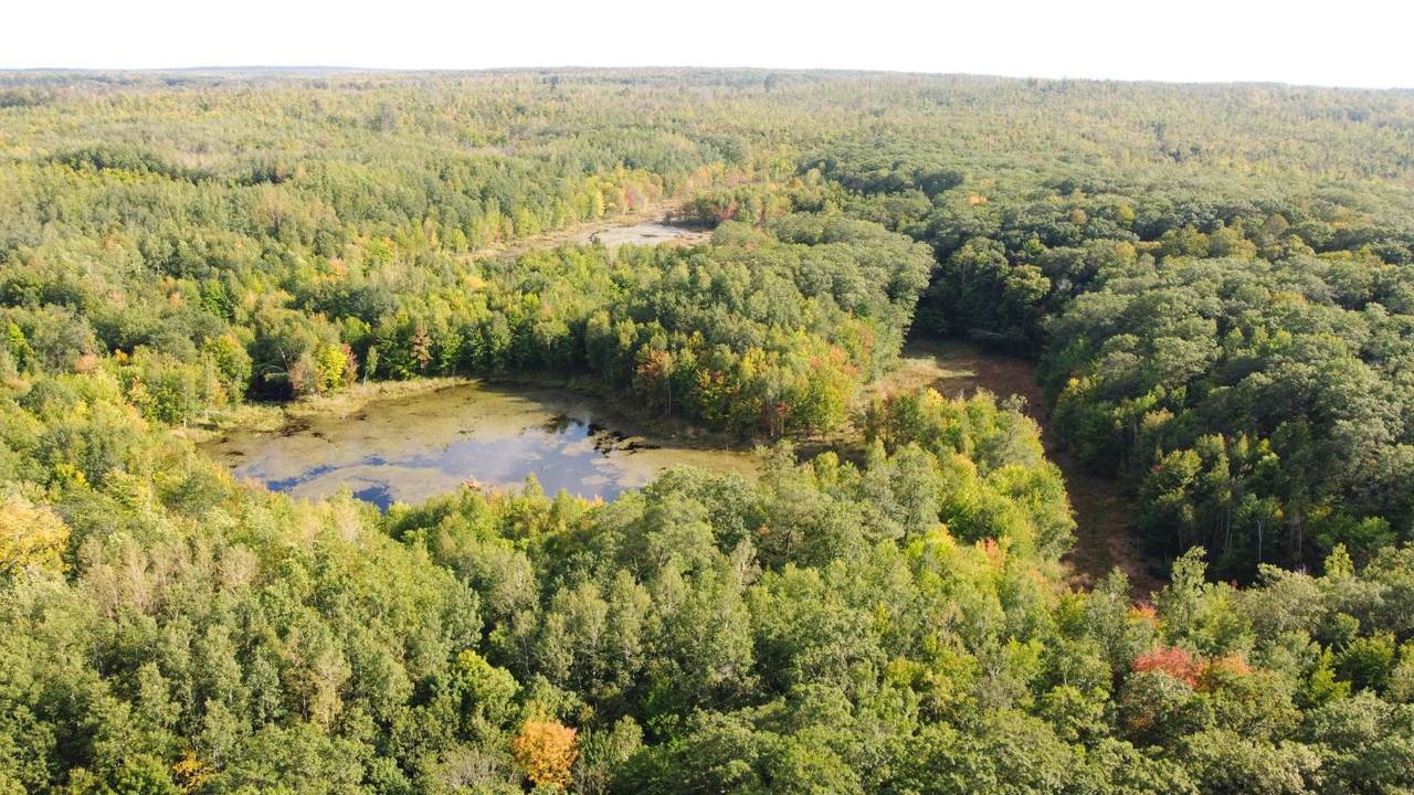 000 West Y Rd - Photo 1