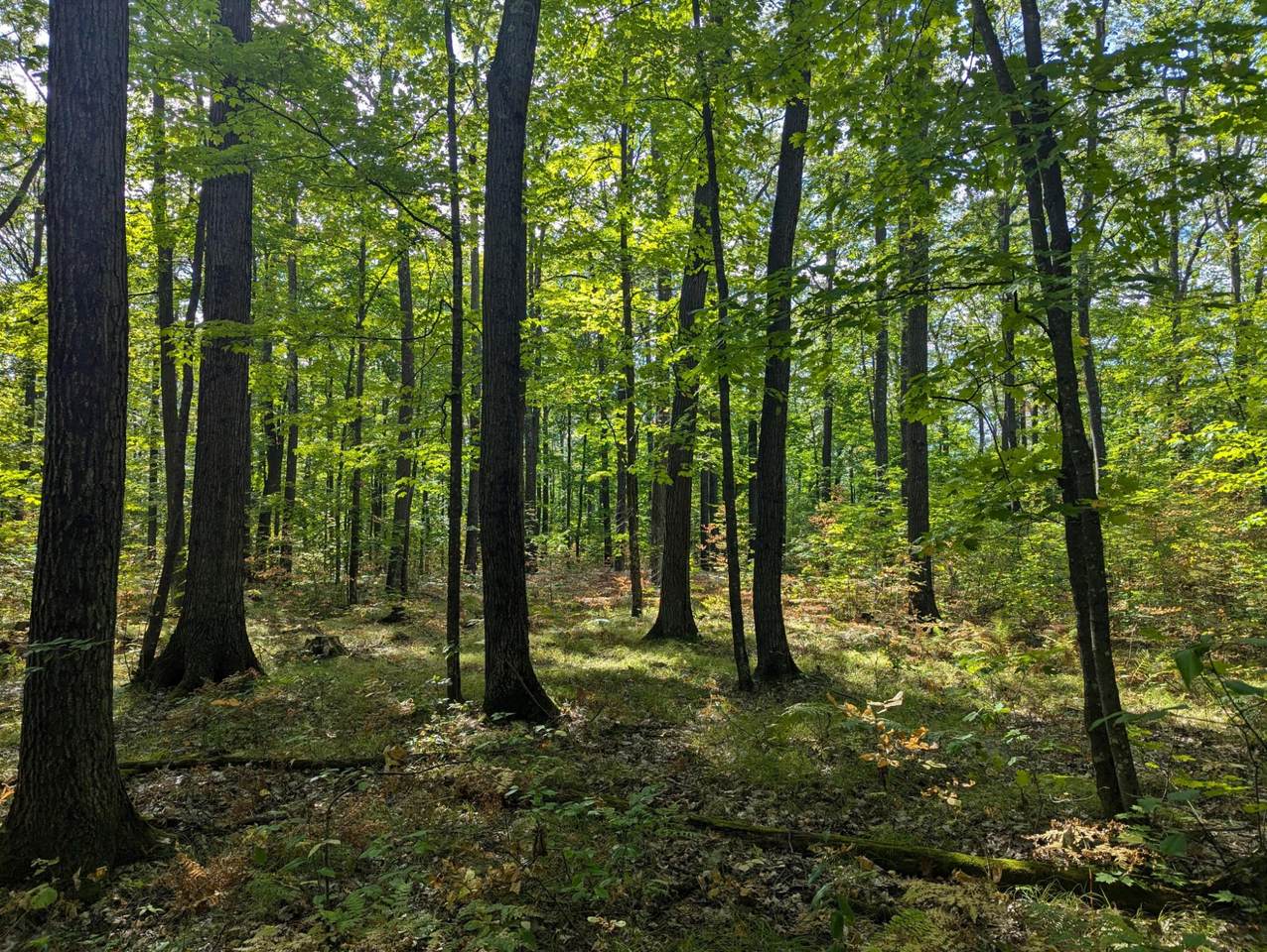 00 West Y Rd - Photo 1