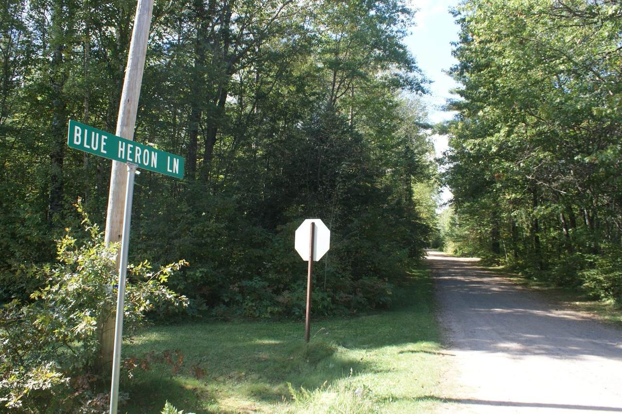 TBD Blue Heron Ln - Photo 1