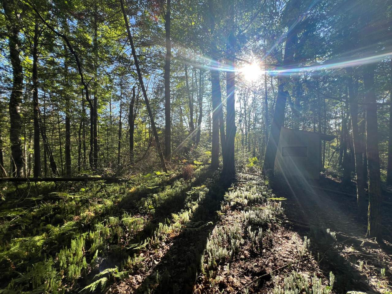 ON Bluebird Rd - Photo 1