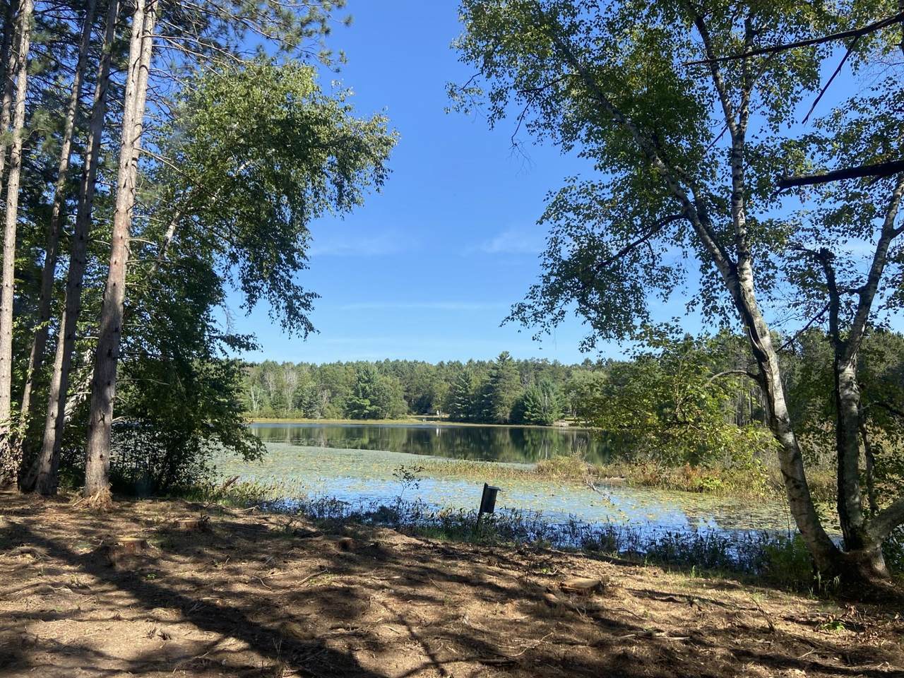 5 acres Pine Shore Ln - Photo 1