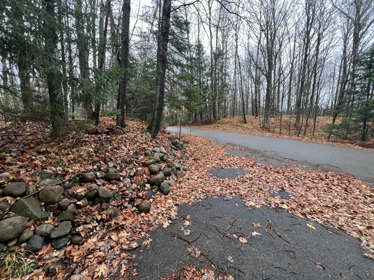 2925 Elm Ln - Photo 1