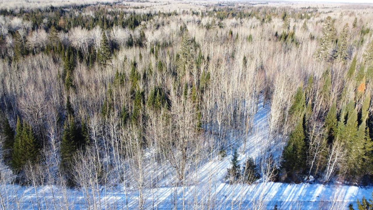 00 Bear Lake Rd - Photo 1