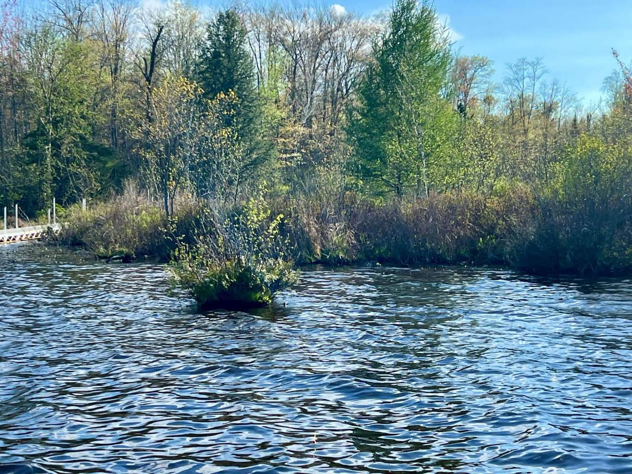Lot 9 Pfeifer Rd - Photo 1