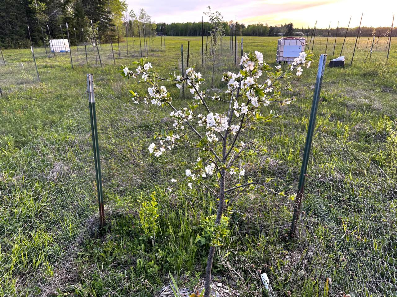 https://bt-photos.global.ssl.fastly.net/northwoods/1280_boomver_1_210999-2.jpg