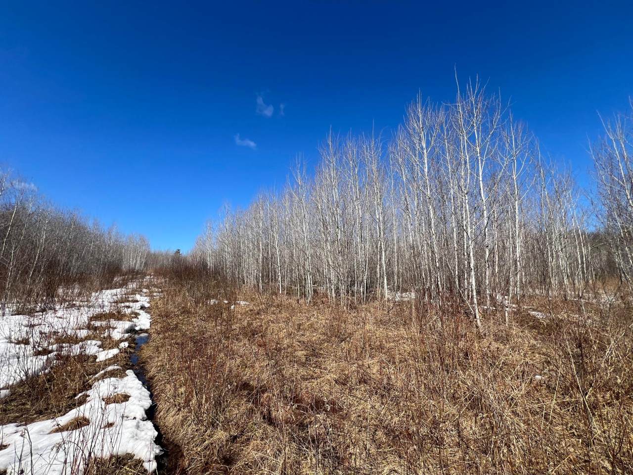 TBD Nordstrom Rd - Photo 1