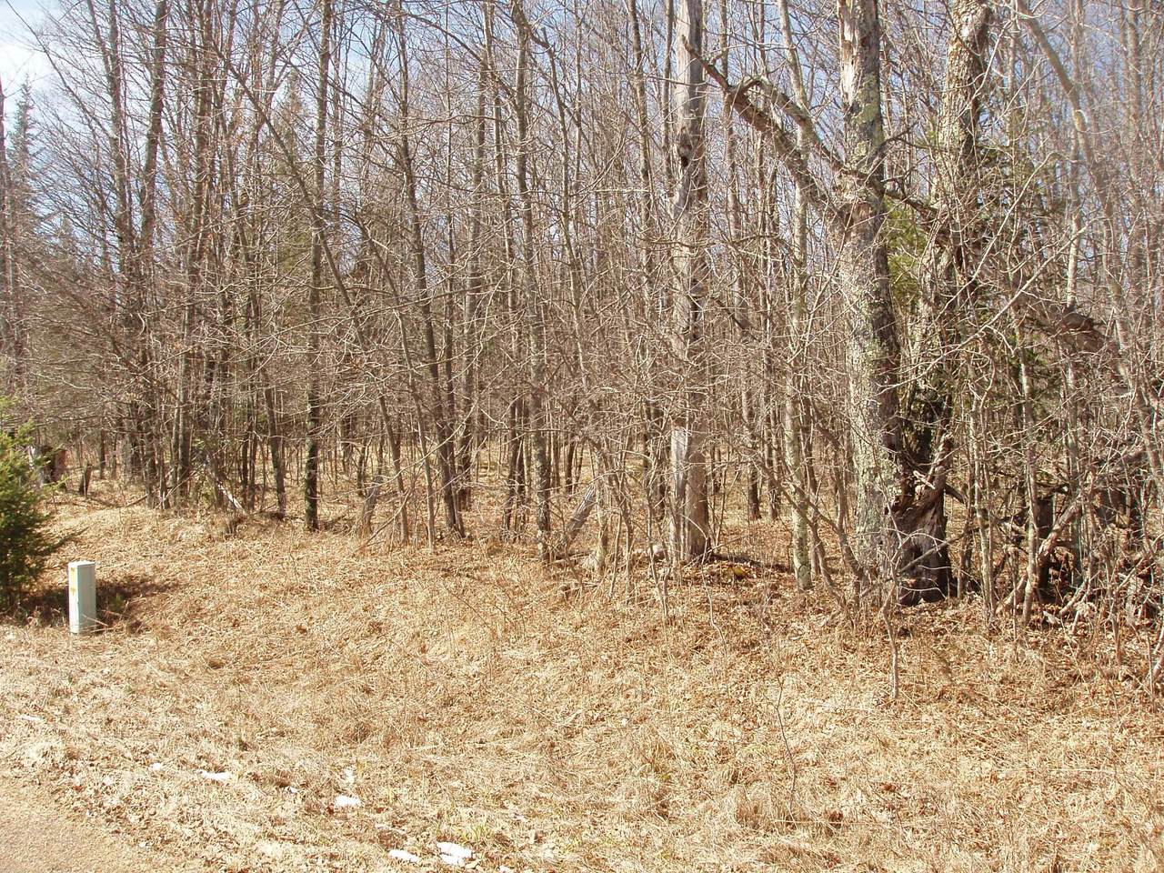 https://bt-photos.global.ssl.fastly.net/northwoods/1280_boomver_1_211122-2.jpg