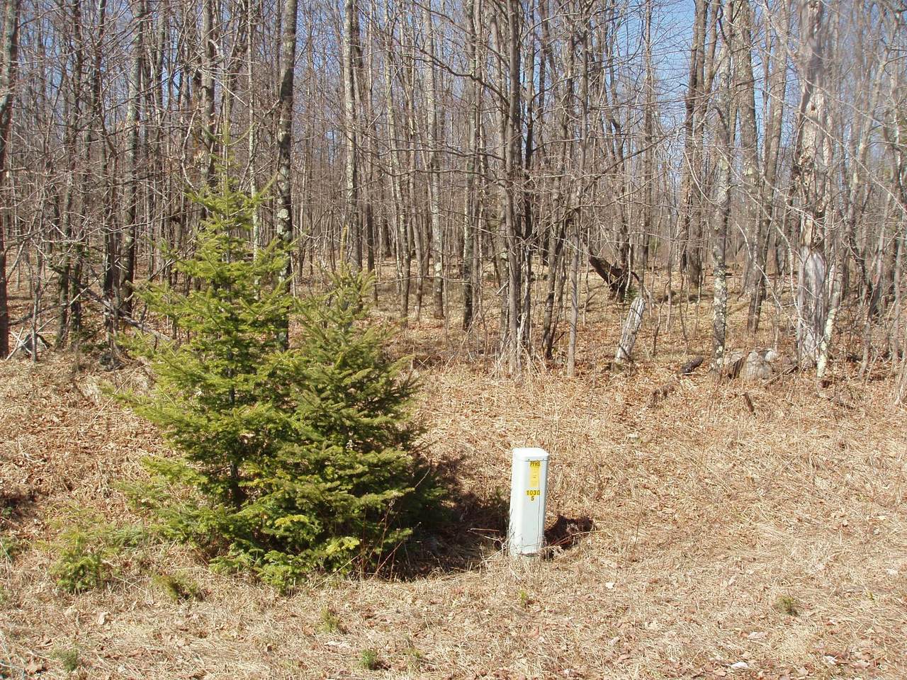 https://bt-photos.global.ssl.fastly.net/northwoods/1280_boomver_1_211122-2.jpg