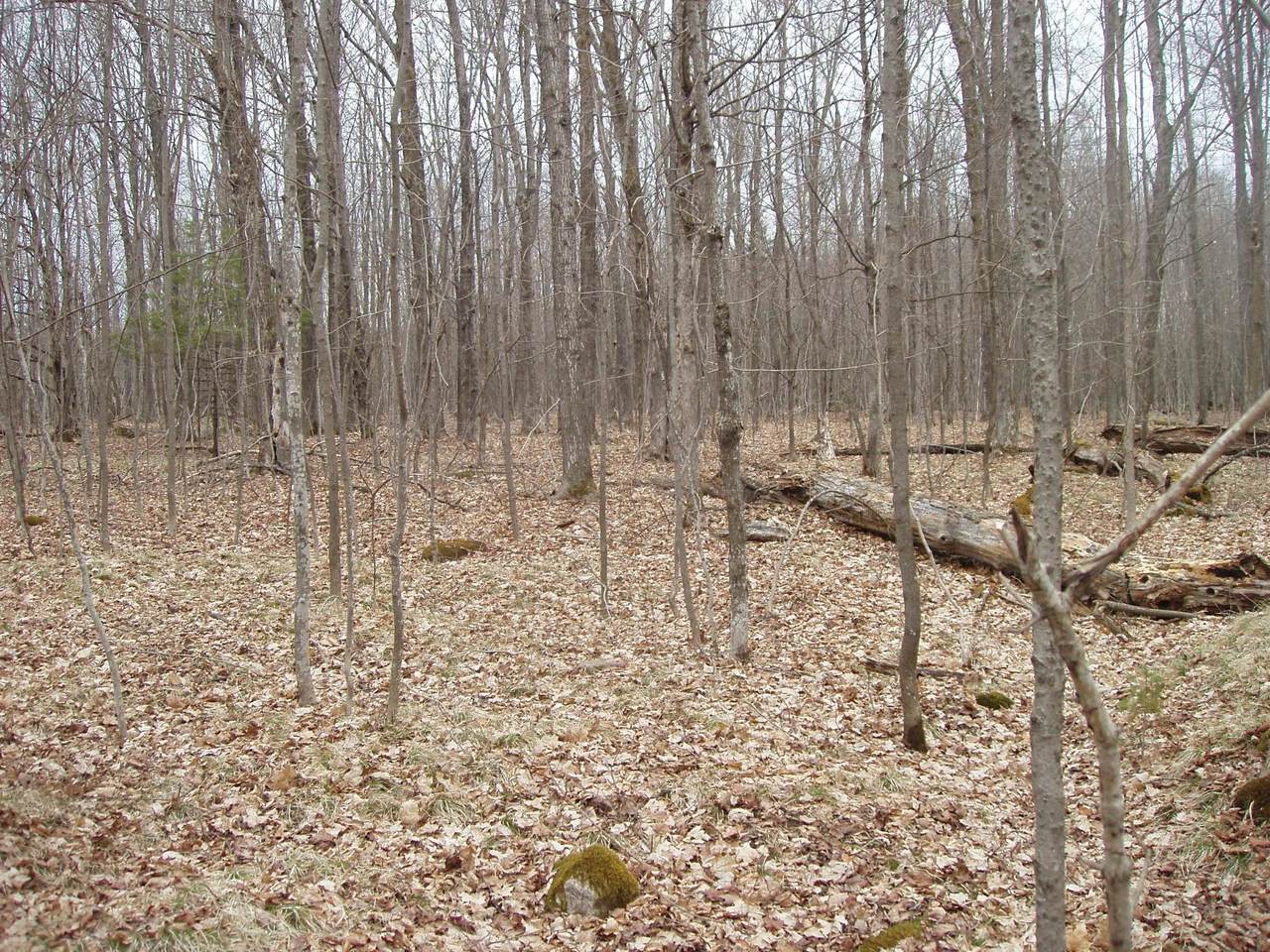 https://bt-photos.global.ssl.fastly.net/northwoods/1280_boomver_1_211151-2.jpg
