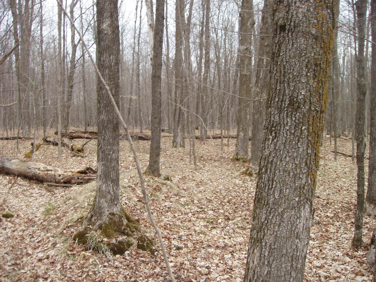 https://bt-photos.global.ssl.fastly.net/northwoods/1280_boomver_1_211151-2.jpg