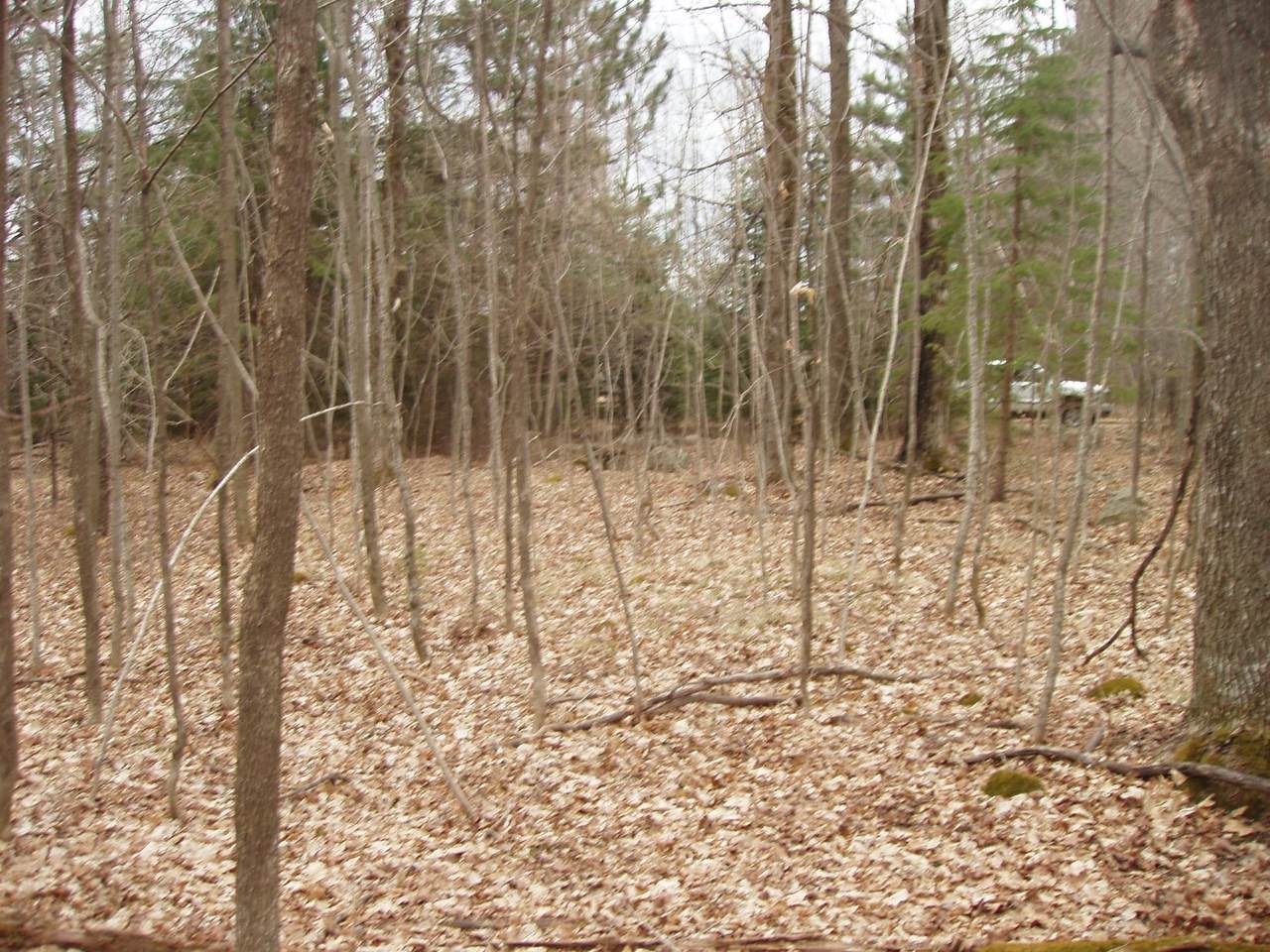 https://bt-photos.global.ssl.fastly.net/northwoods/1280_boomver_1_211151-2.jpg