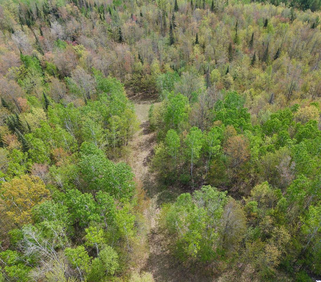 https://bt-photos.global.ssl.fastly.net/northwoods/1280_boomver_1_211338-2.jpg
