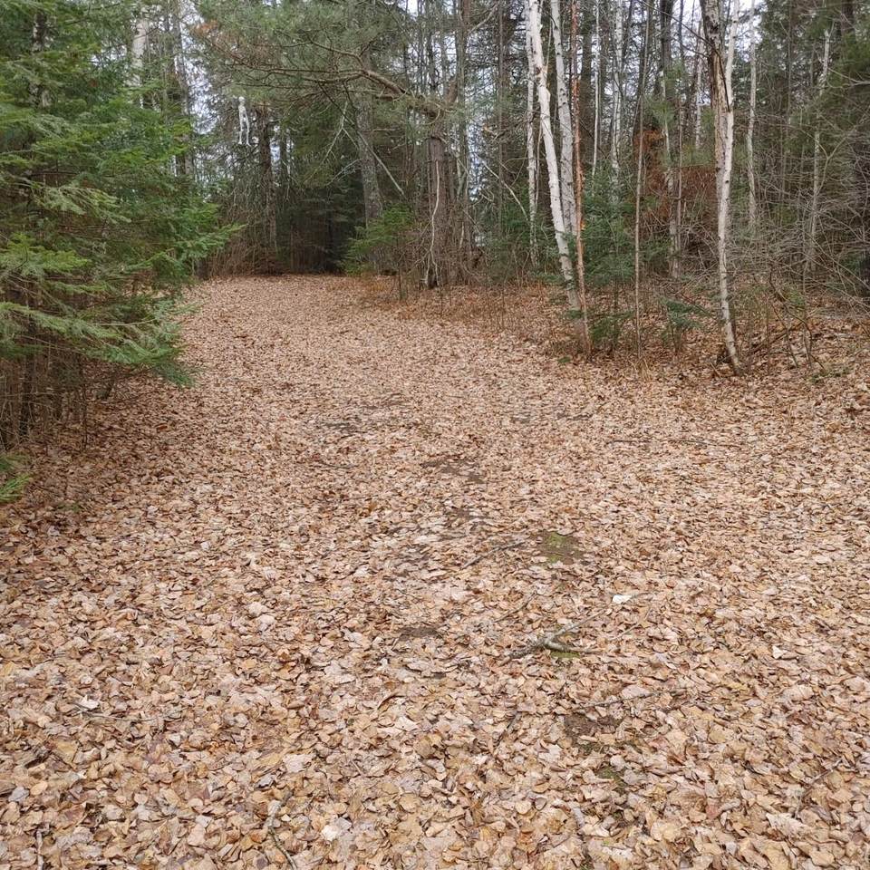 Lot 31 Shady Knoll Rd - Photo 1