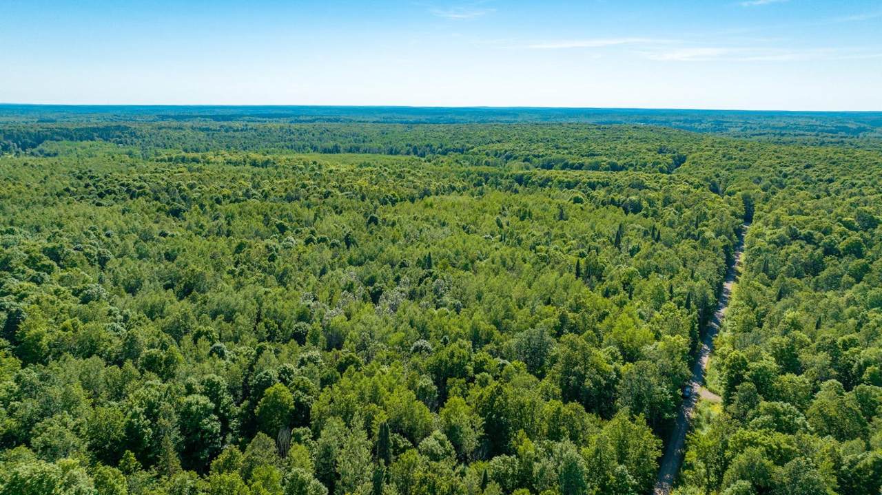TBD Dream Lake Rd - Photo 1