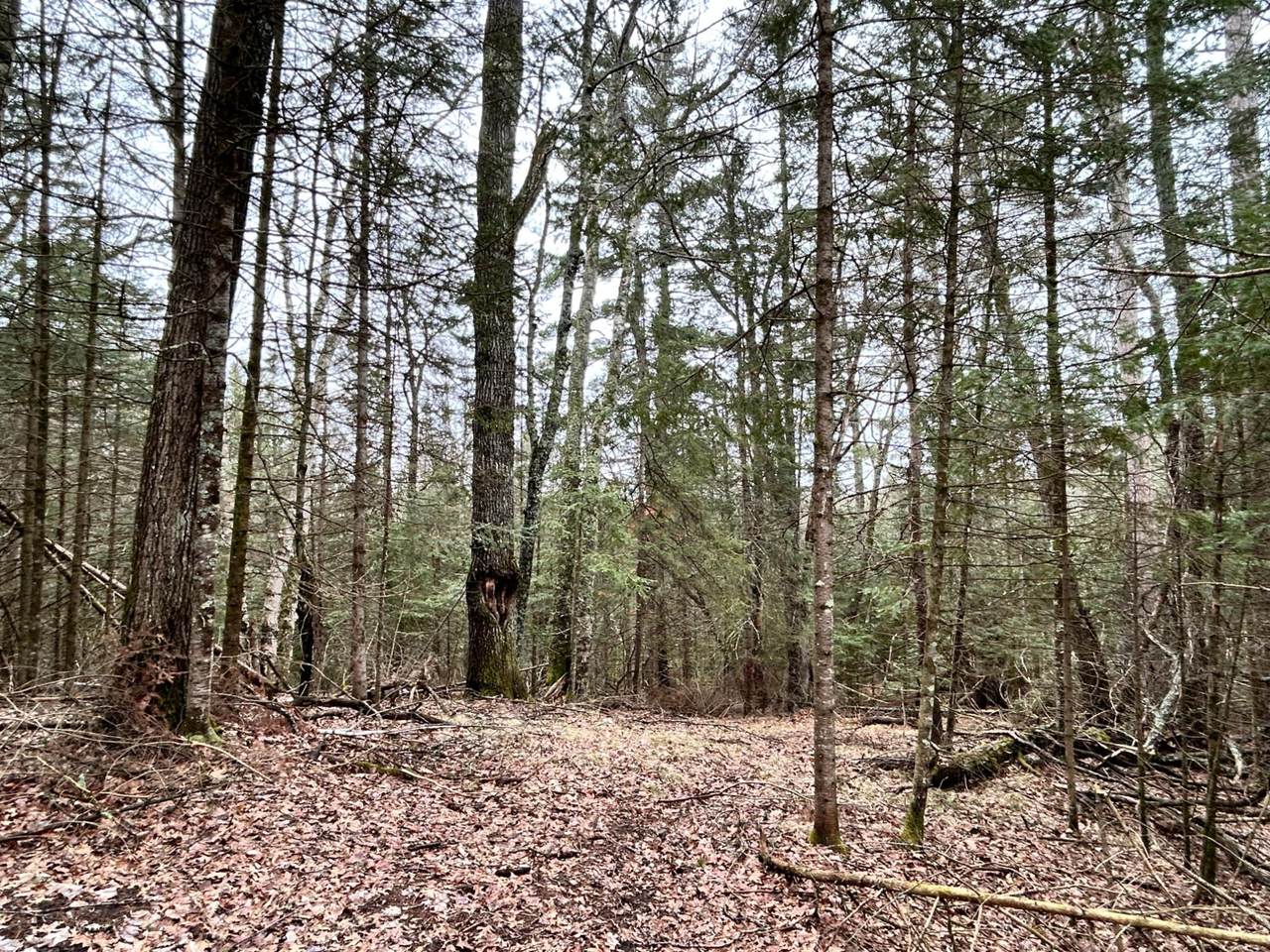 https://bt-photos.global.ssl.fastly.net/northwoods/1280_boomver_1_211499-2.jpg