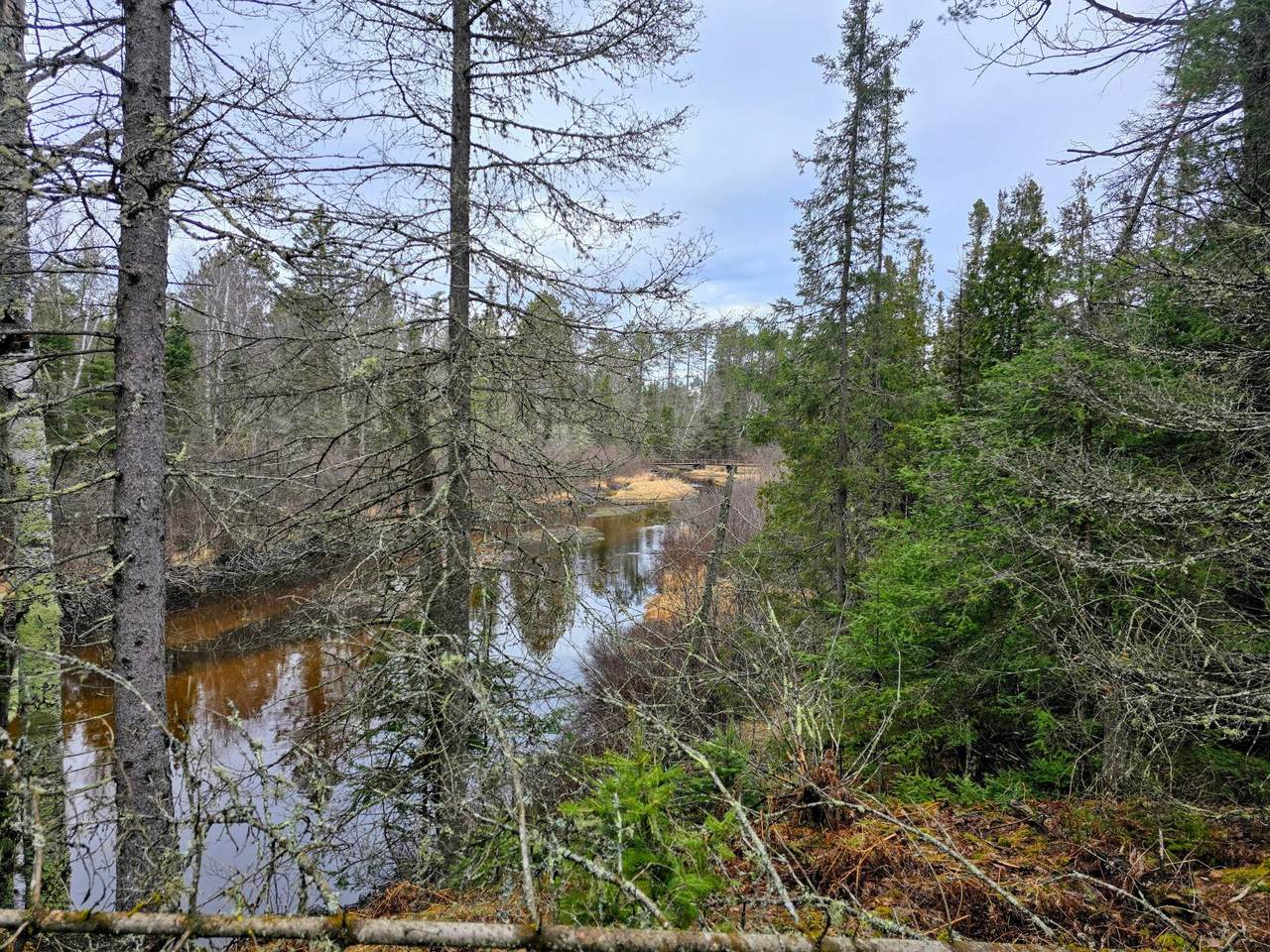 Off Hwy 45 - Photo 1