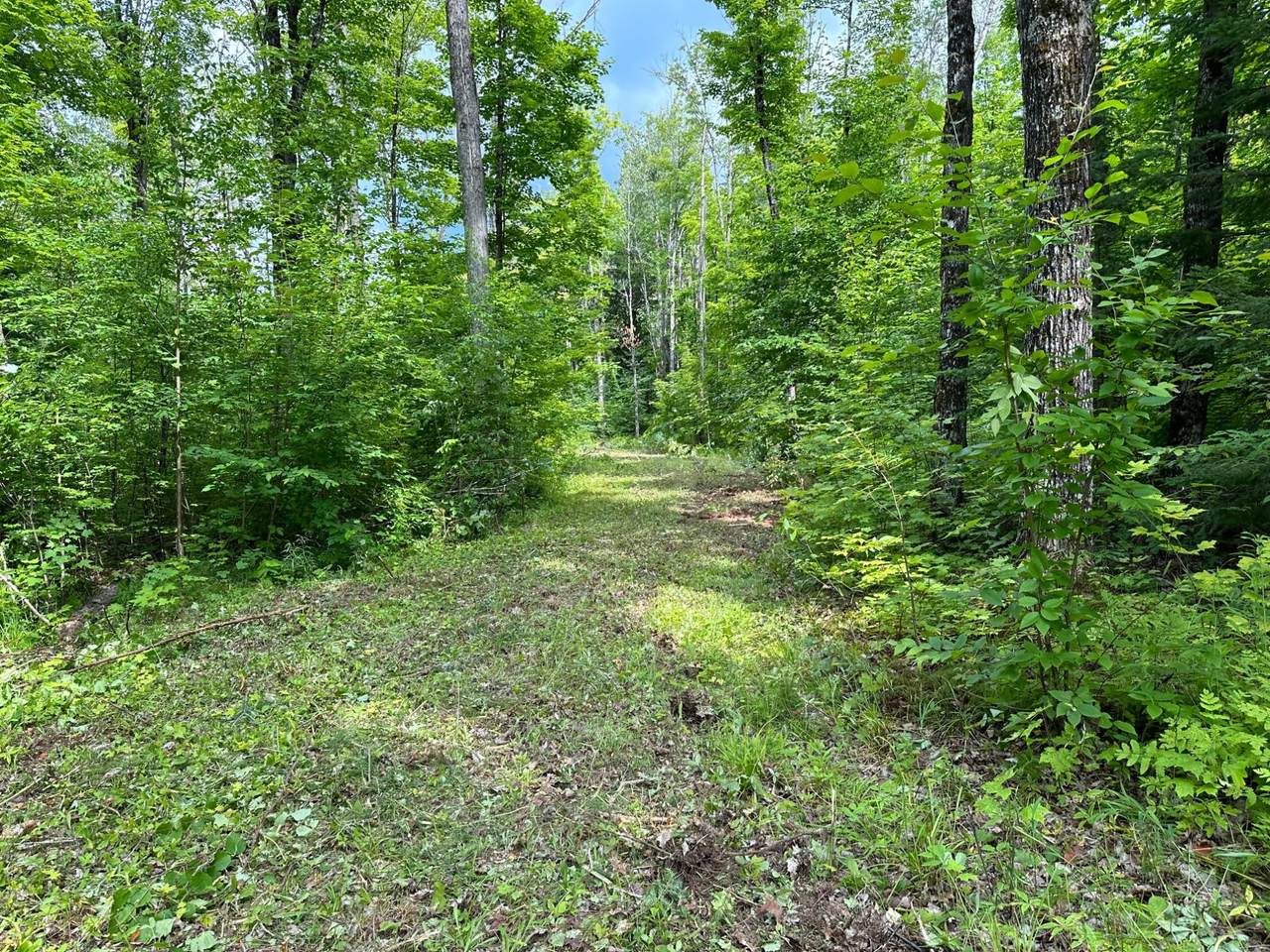 https://bt-photos.global.ssl.fastly.net/northwoods/1280_boomver_1_211577-2.jpg