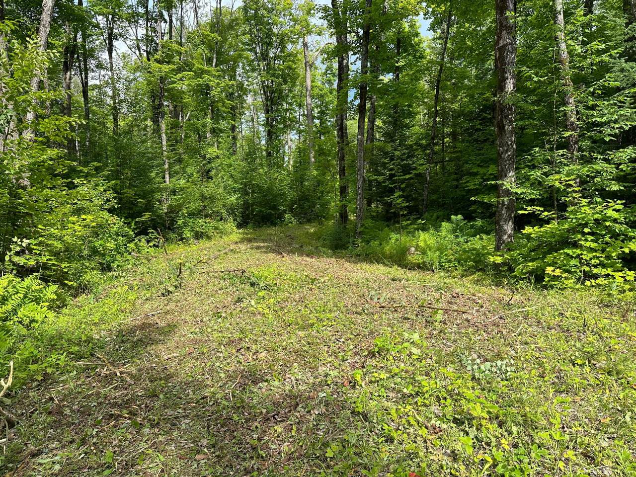 https://bt-photos.global.ssl.fastly.net/northwoods/1280_boomver_1_211577-2.jpg