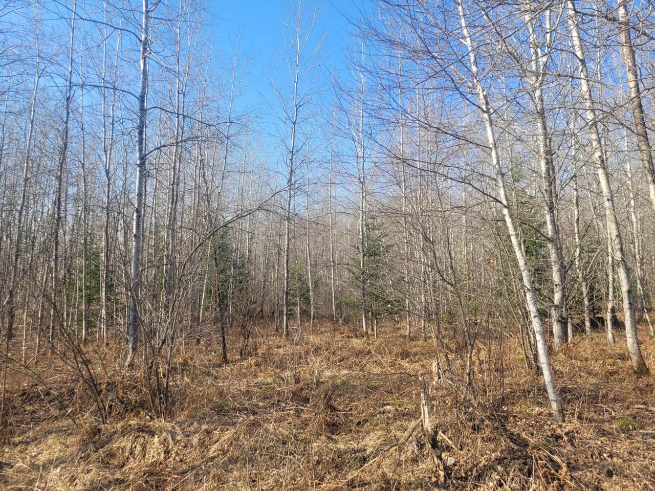 NEAR Knowles Rd - Photo 1