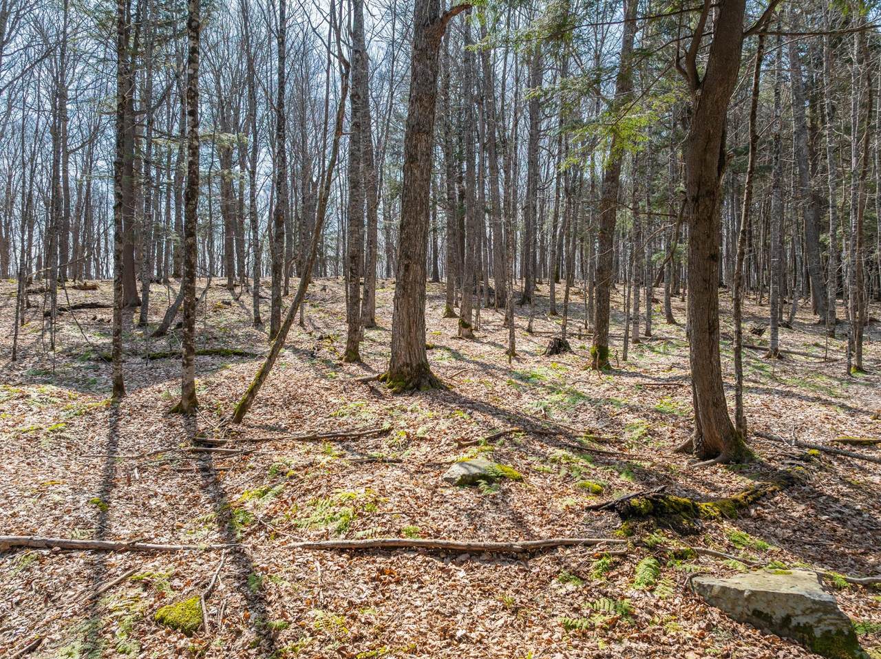https://bt-photos.global.ssl.fastly.net/northwoods/1280_boomver_1_211649-2.jpg