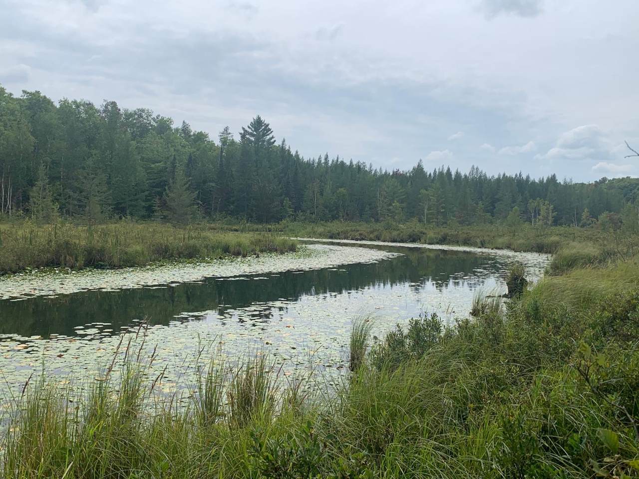 https://bt-photos.global.ssl.fastly.net/northwoods/1280_boomver_1_211649-2.jpg