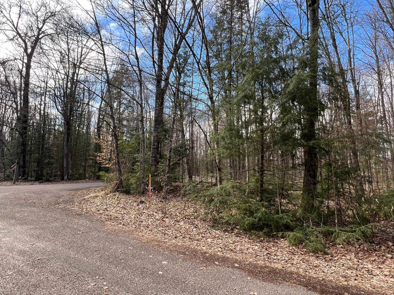 Lot 26 Black Forest Rd - Photo 1