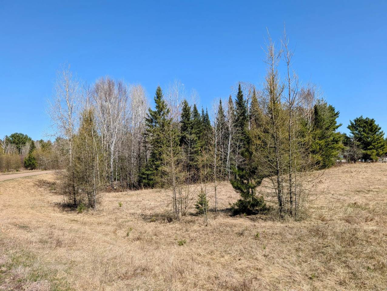 Lot 4 Bear Paw Tr - Photo 1
