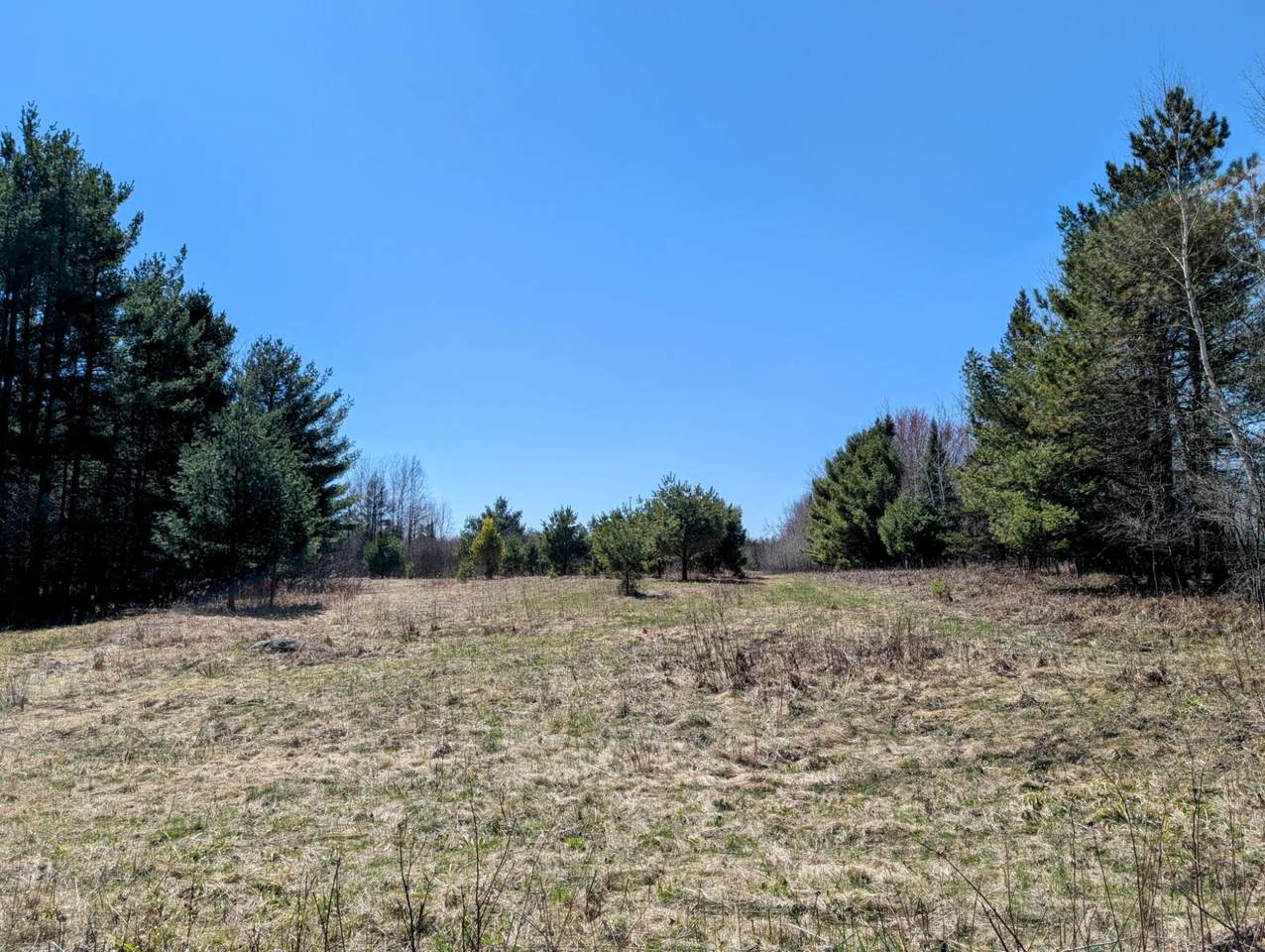 Lot 11 Bear Paw Tr - Photo 1