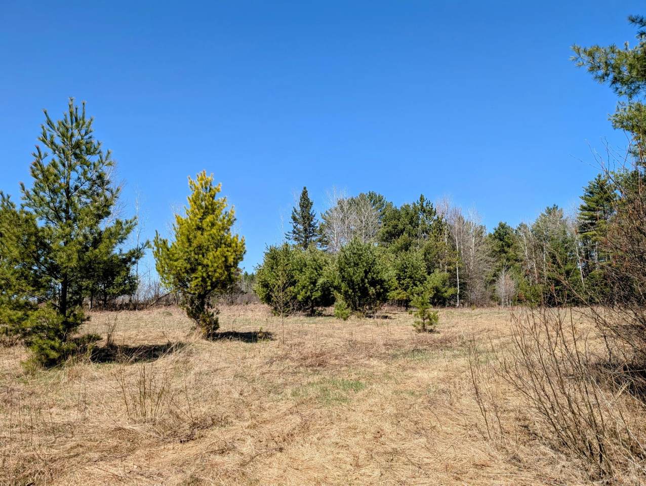 https://bt-photos.global.ssl.fastly.net/northwoods/1280_boomver_1_211770-2.jpg