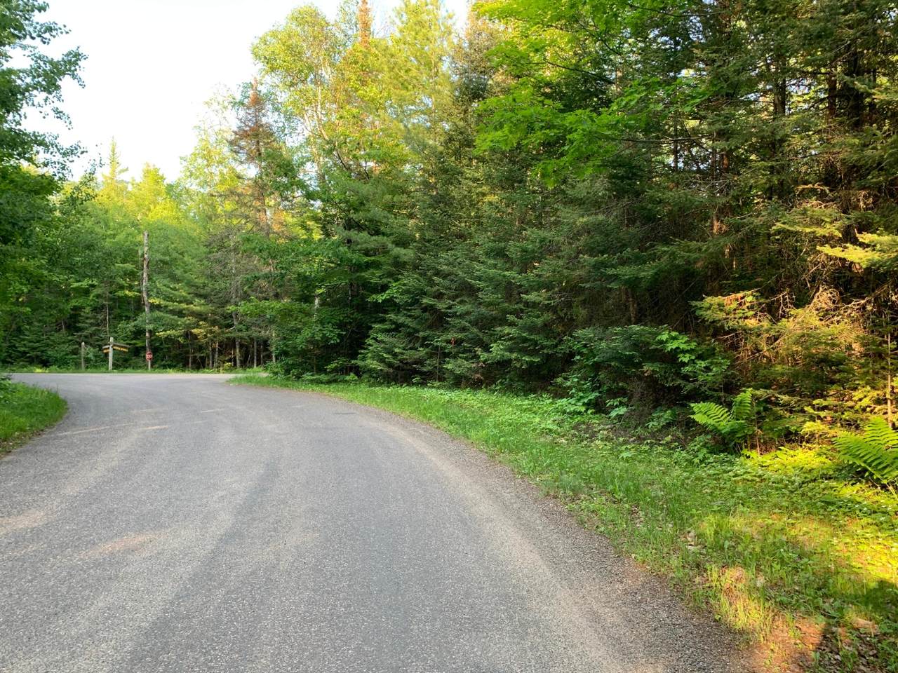 Lot 22 Deer Trail Rd - Photo 1