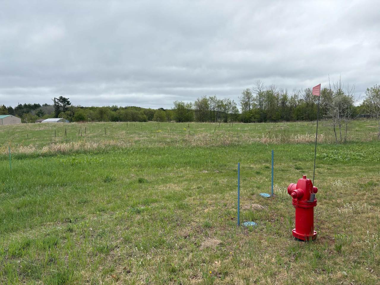 9+ acres Hwy 17 - Photo 1