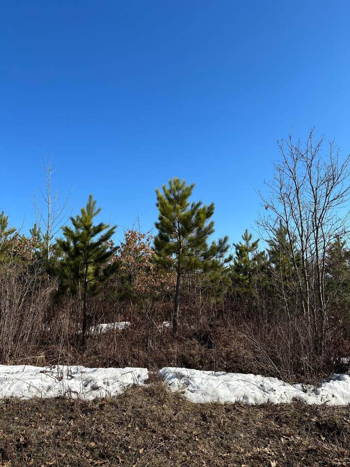 ON Spring Creek Dr - Photo 1