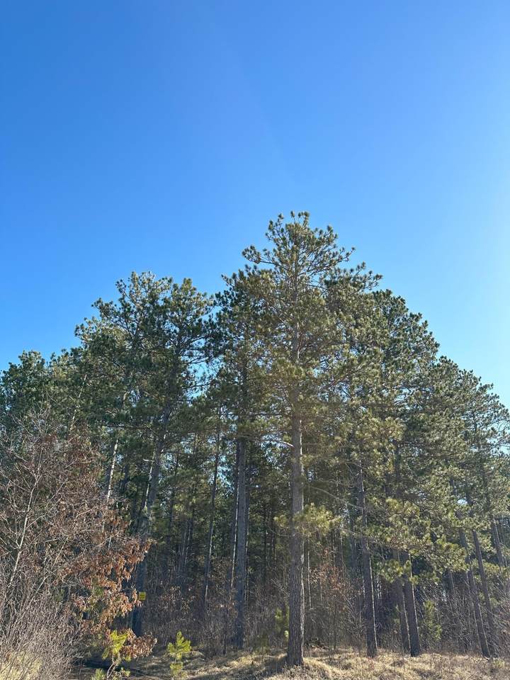 ON Spring Creek Dr - Photo 1