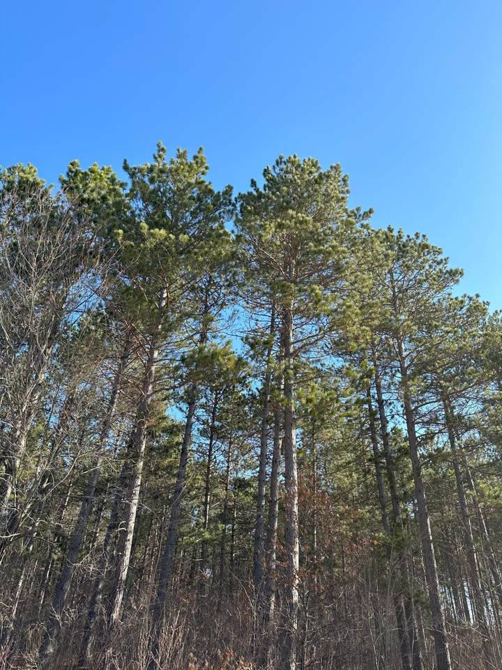 ON Spring Creek Dr - Photo 1