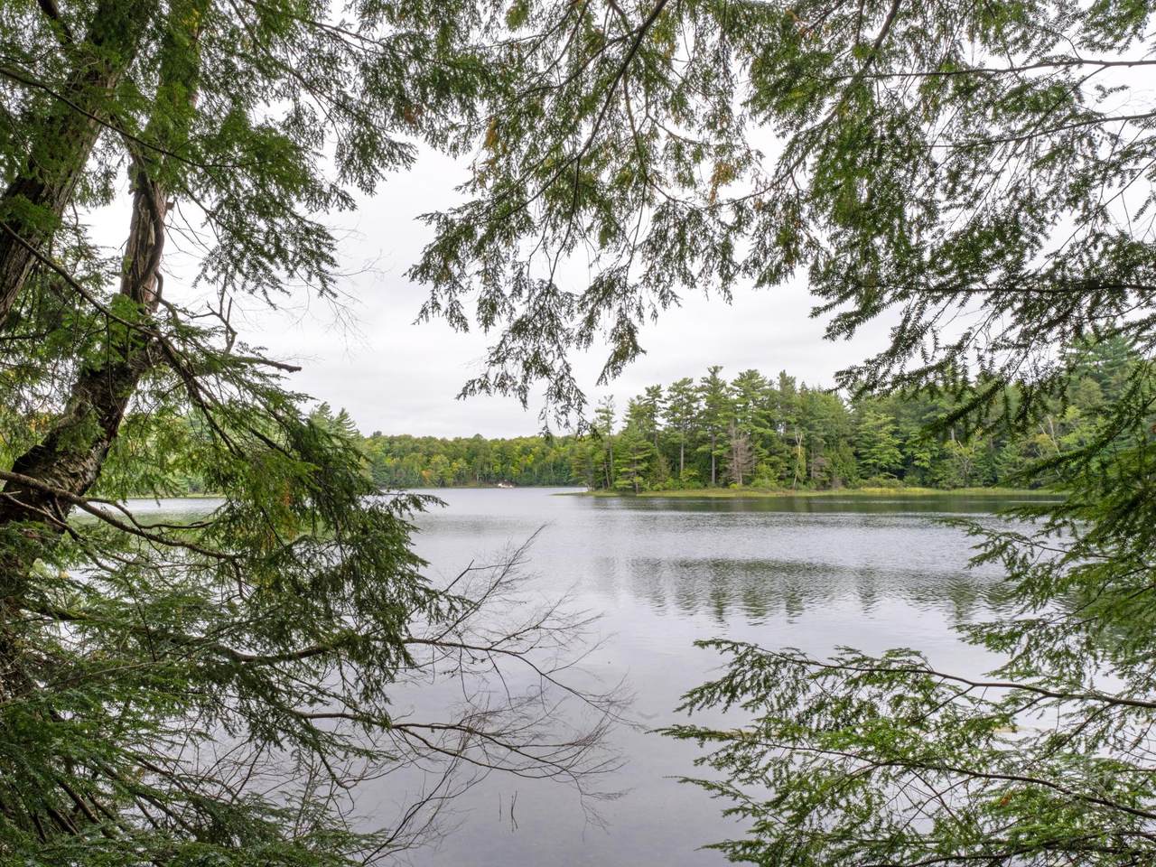 Lot 4 Loon Bay Tr - Photo 1