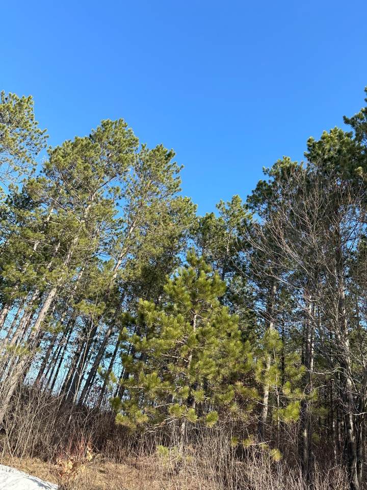 ON Spring Creek Dr - Photo 1