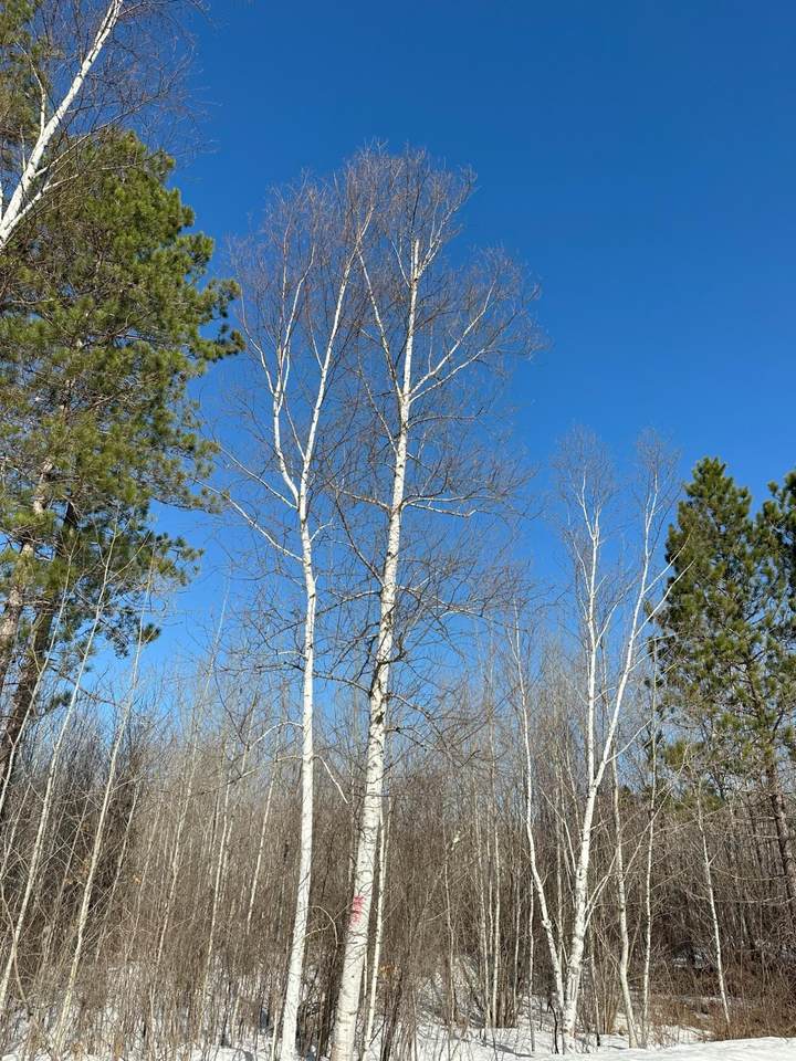 ON Spring Creek Dr - Photo 1