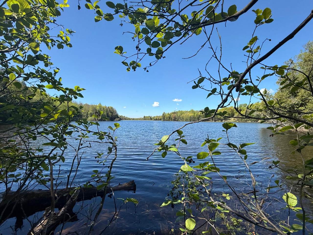 Lot 8 Pomeroy Lake Rd - Photo 1