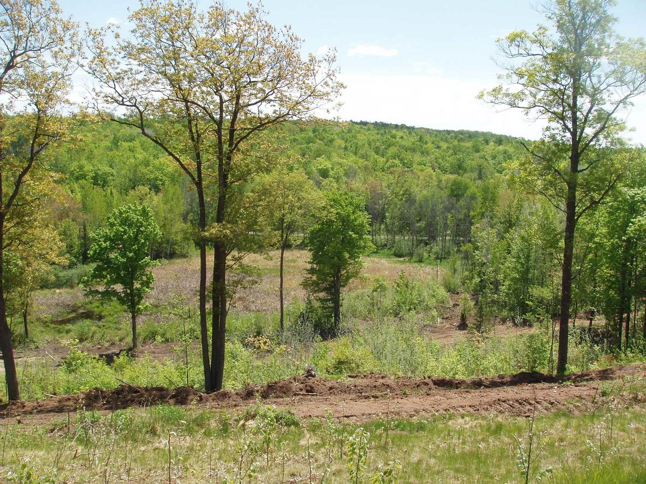 ON Hwy 169 - Photo 1