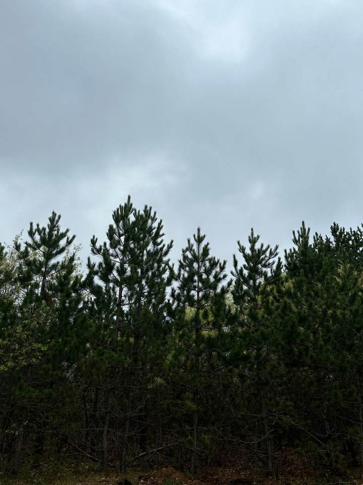 ON Cth Y - Photo 1