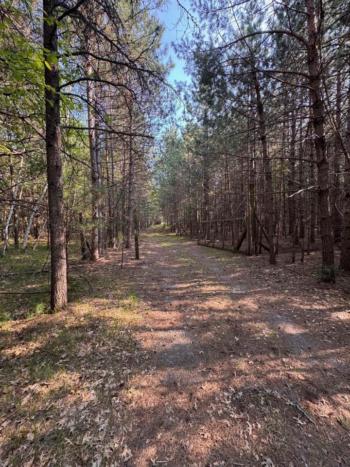 9851 Country Ln - Photo 1