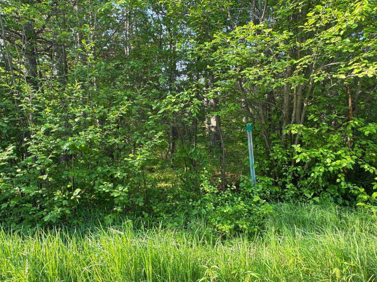 Lot 14 Summit View Dr - Photo 1