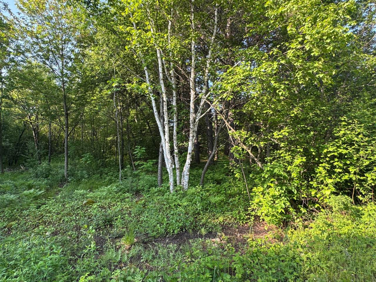 https://bt-photos.global.ssl.fastly.net/northwoods/1280_boomver_1_212456-2.jpg