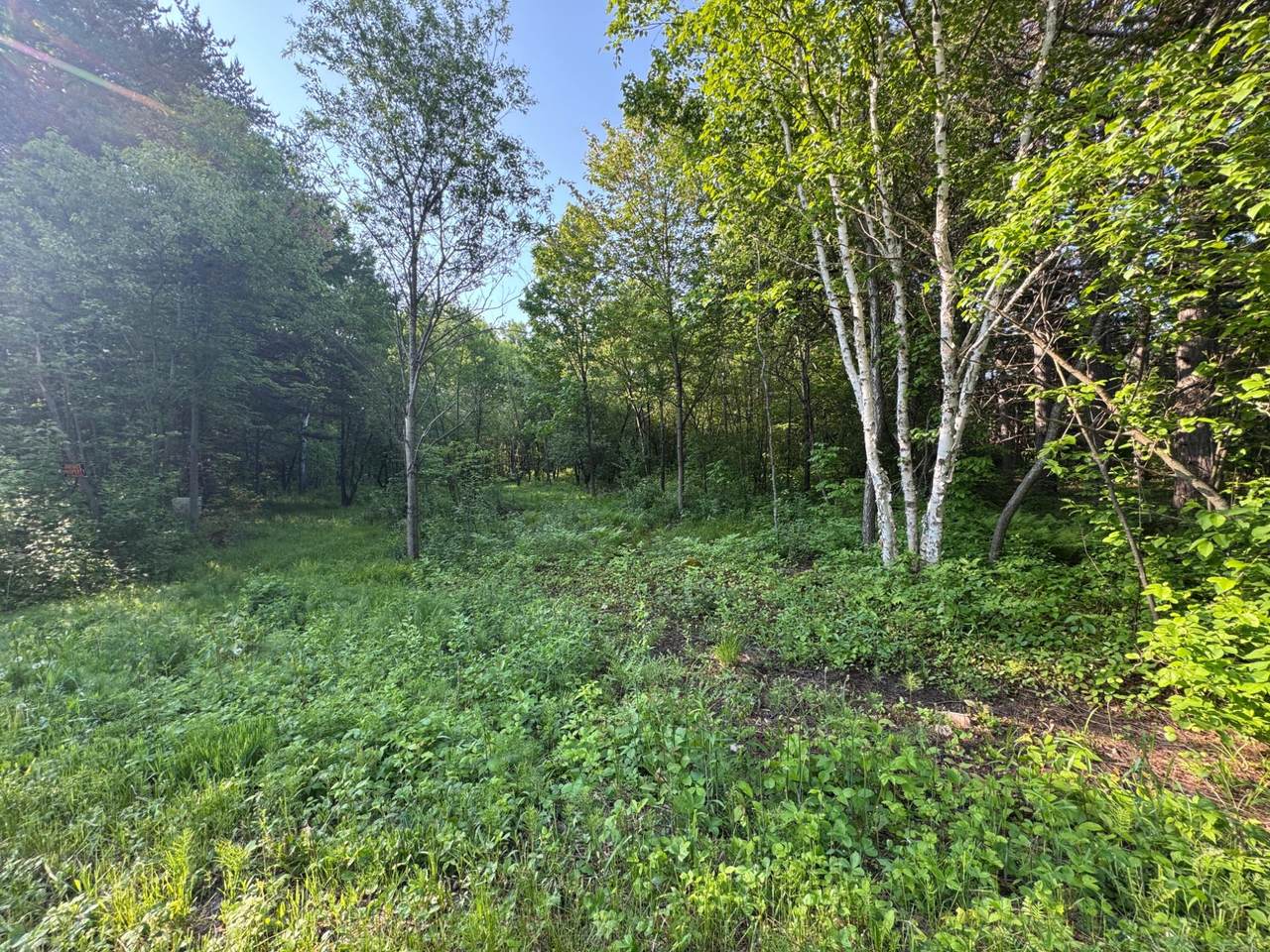 https://bt-photos.global.ssl.fastly.net/northwoods/1280_boomver_1_212456-2.jpg