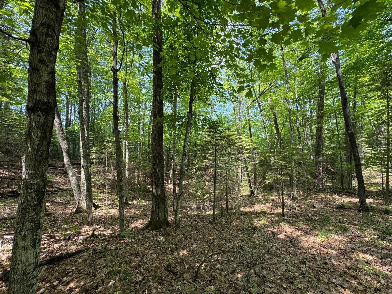 Lot 127 Woodhill Ct - Photo 1